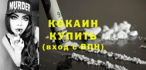 прущие грибы Бородино