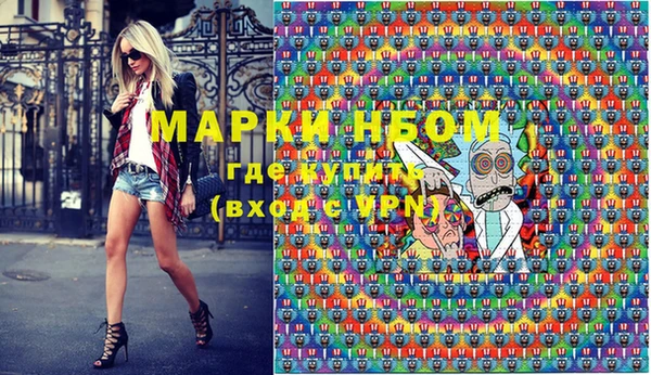 прущие грибы Бородино