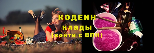 прущие грибы Бородино