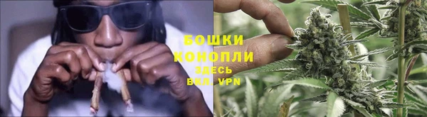 прущие грибы Бородино