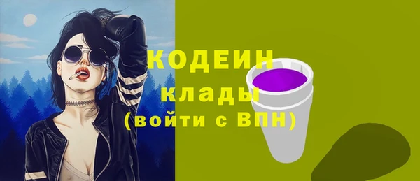 прущие грибы Бородино