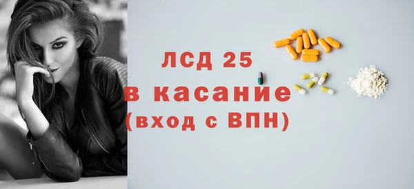 прущие грибы Бородино