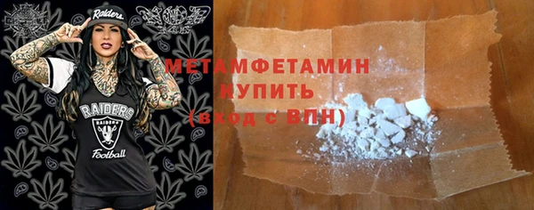 прущие грибы Бородино