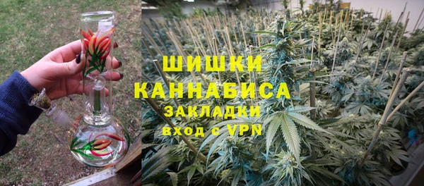 прущие грибы Бородино