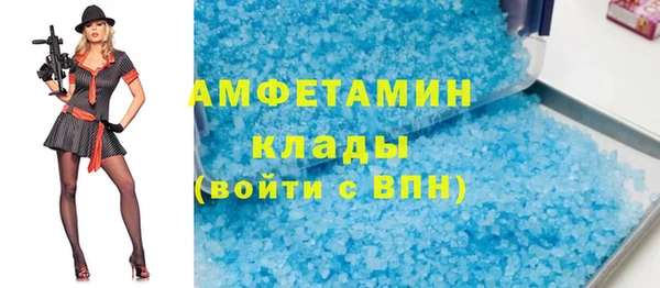 прущие грибы Бородино