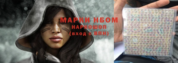 прущие грибы Бородино