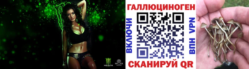 Галлюциногенные грибы Cubensis  Туран 